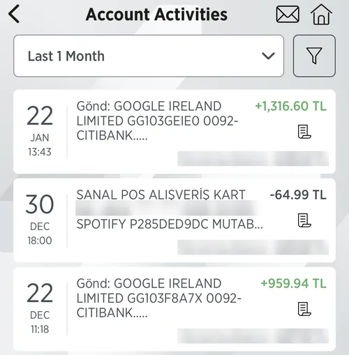 Monthly payouts from Google Ireland Limited in Turkish lira, card number and balances hidden