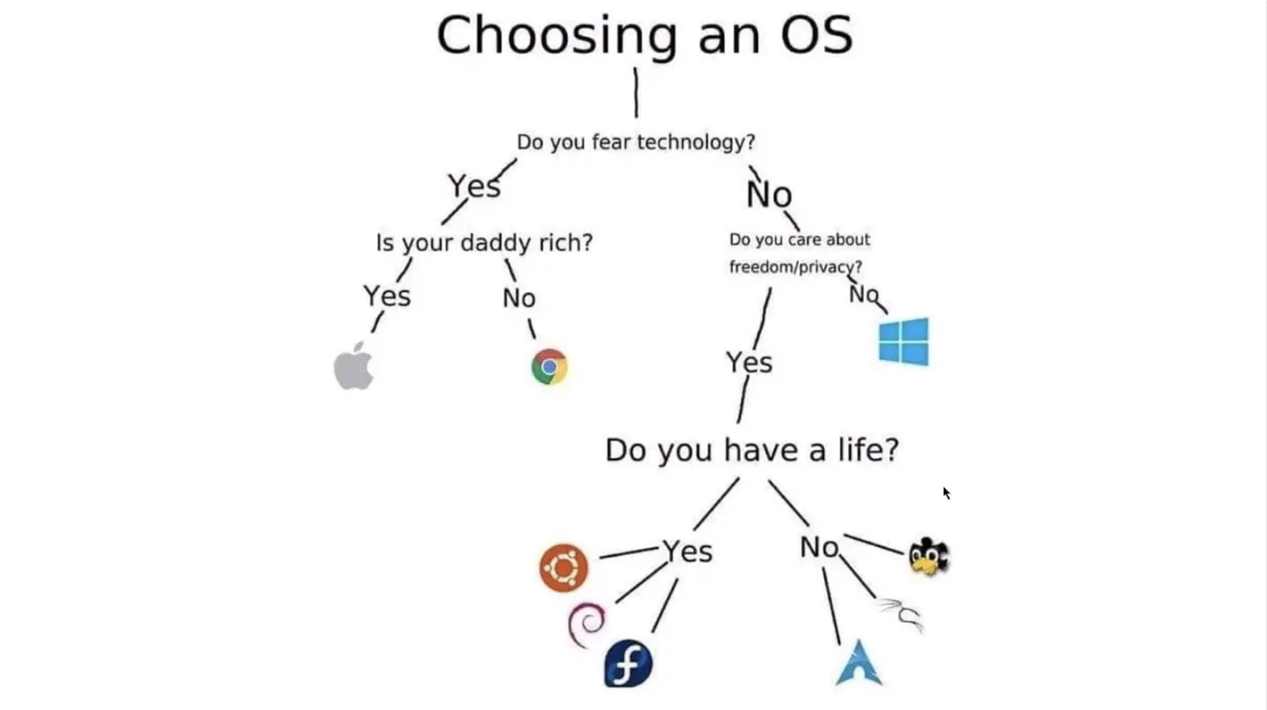 Flowchart "Choosing an OS": if you fear technology and your daddy is rich you get macOS, if not ChromeOS; if you don't fear technology but don't care about privacy you get Windows; if you do care, the Linux distro depends on whether you have a life: Ubuntu, Debian and Fedora for yes, Arch and Kali for no