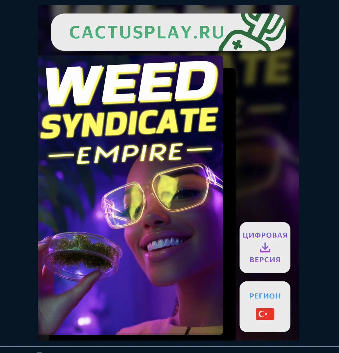 Marketplace cover generated by the Go styling service, blurred bleed, shop header and edition badges